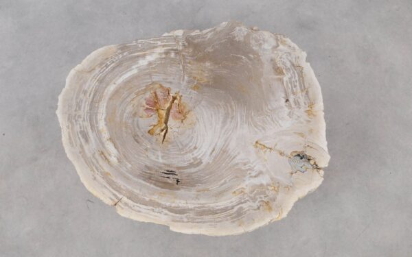 Coffee table petrified wood 53332