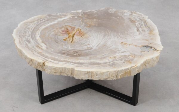 Coffee table petrified wood 53332