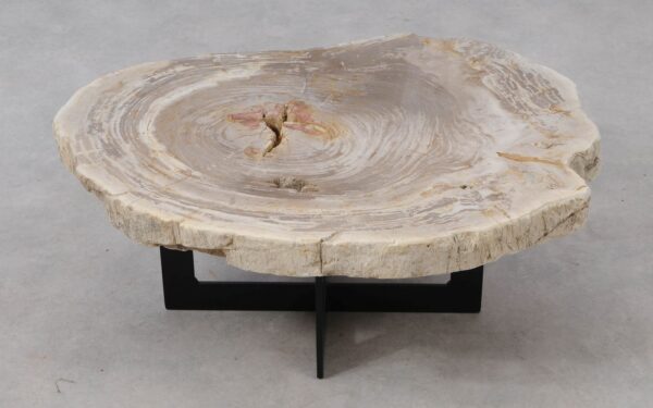 Coffee table petrified wood 53333