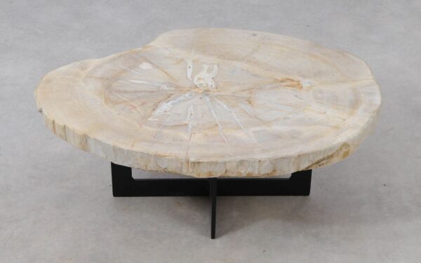 Coffee table petrified wood 53456