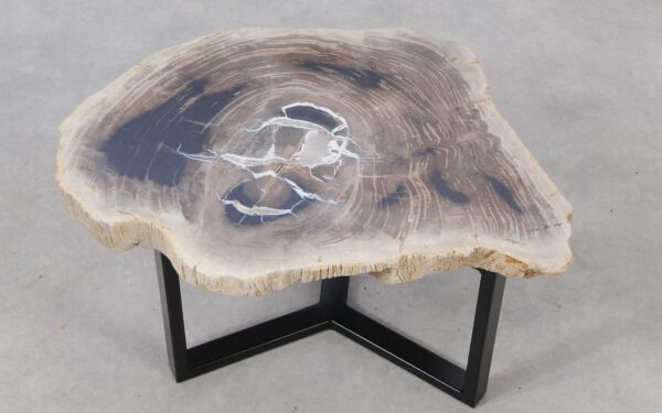 Coffee table petrified wood 53466