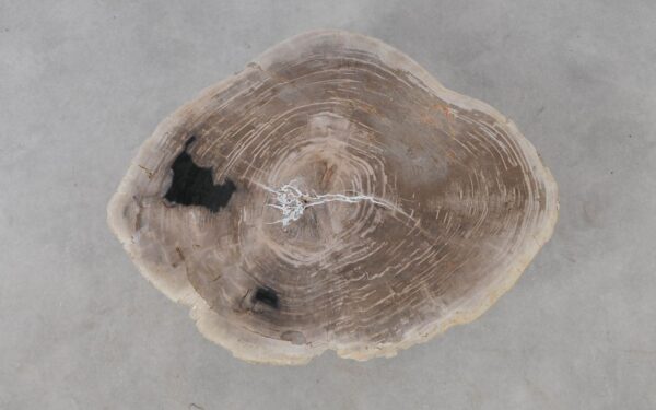 Coffee table petrified wood 53468