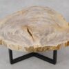 Couchtisch versteinertes Holz 53266