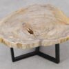 Couchtisch versteinertes Holz 53267