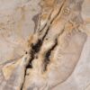 Couchtisch versteinertes Holz 53268