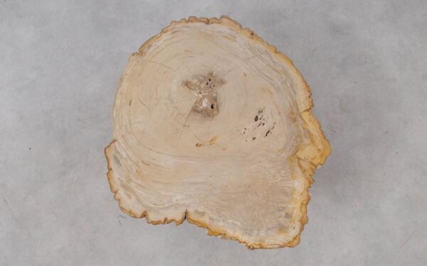 Couchtisch versteinertes Holz 53303