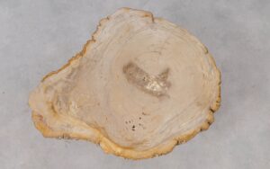 Couchtisch versteinertes Holz 53308