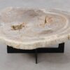 Couchtisch versteinertes Holz 53330