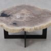 Couchtisch versteinertes Holz 53468