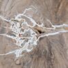Couchtisch versteinertes Holz 53468