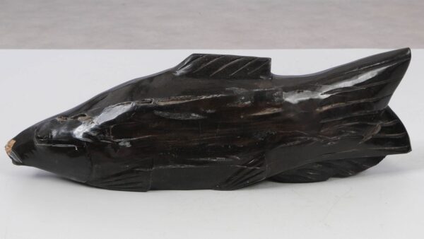 Fish petrified wood 52327