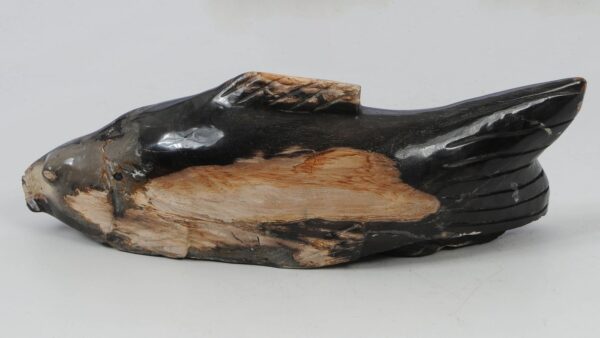 Fish petrified wood 52335