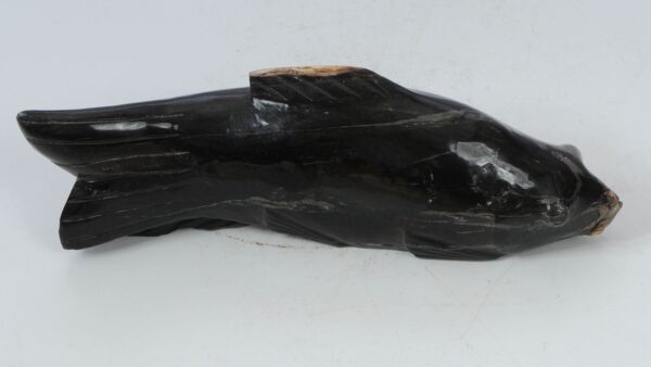 Fish petrified wood 52335