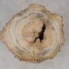 Mesilla madera petrificada 53022