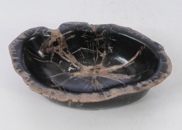 Bowl petrified wood 53048