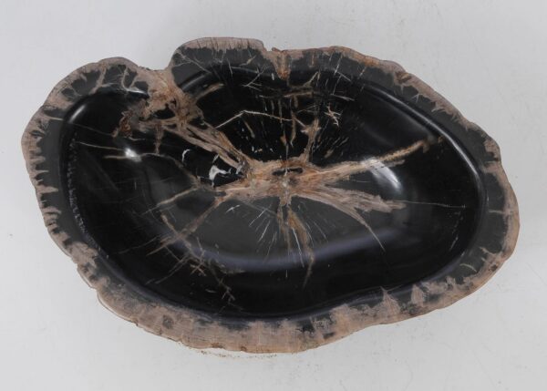 Bowl petrified wood 53048