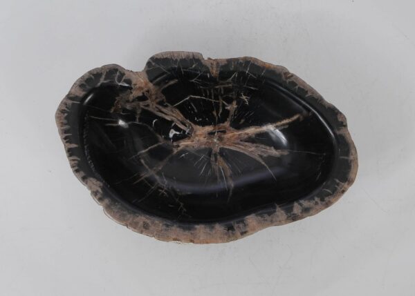 Bowl petrified wood 53048