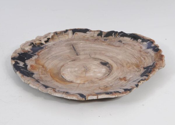 Plate petrified wood 53054a