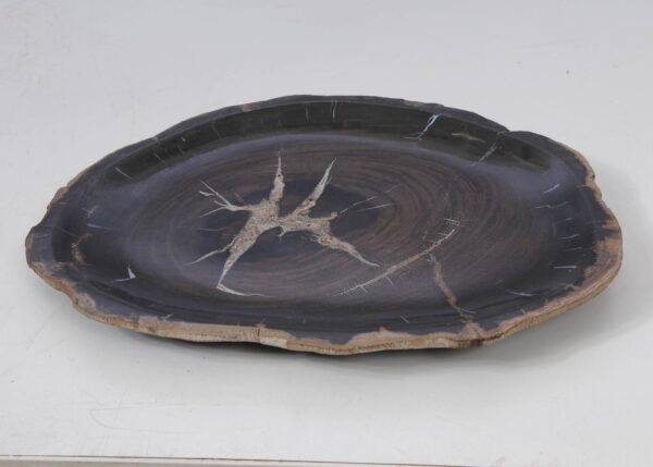 Plate petrified wood 53056