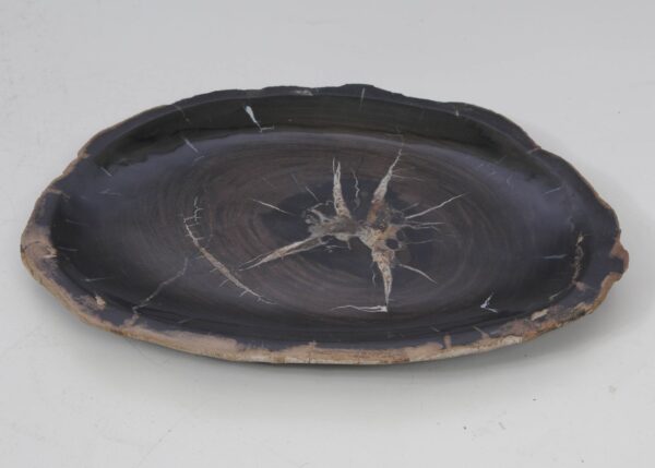 Plate petrified wood 53060