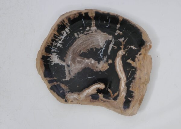 Plate petrified wood 53062