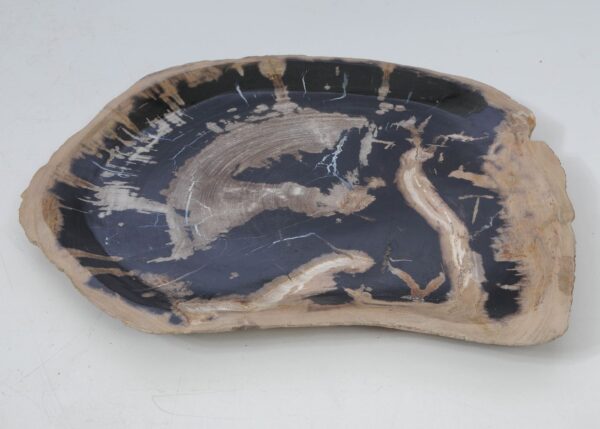 Plate petrified wood 53062