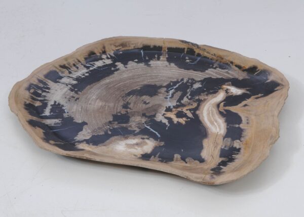 Plate petrified wood 53062a