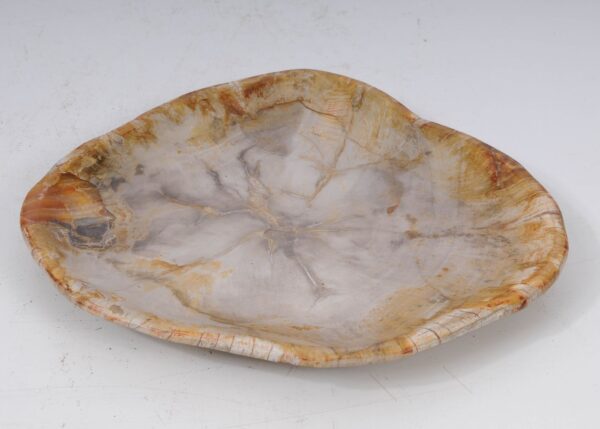 Plate petrified wood 53067