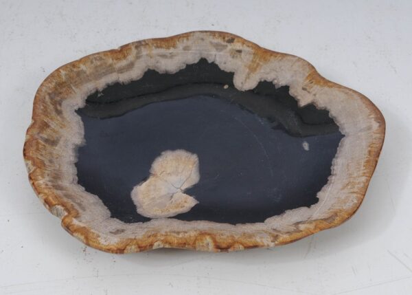 Plate petrified wood 53070