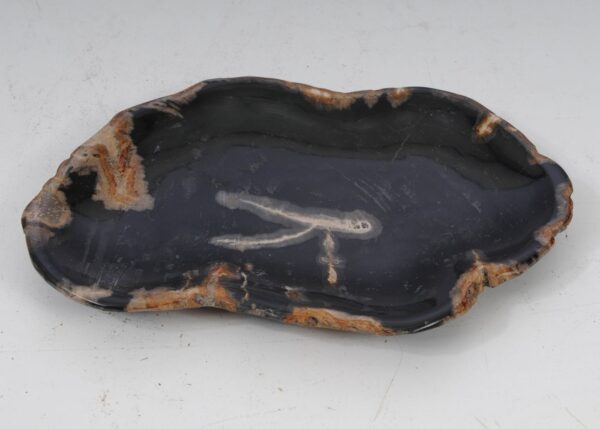 Plate petrified wood 53073