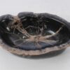 Bol madera petrificada 53048
