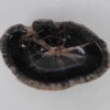Bol madera petrificada 53048