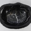Bol madera petrificada 53050