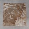 Salontafel versteend hout 51210