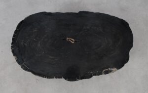 Salontafel versteend hout 53160