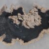 Salontafel versteend hout 53272