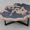 Salontafel versteend hout 53274