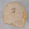 Salontafel versteend hout 53303