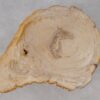 Salontafel versteend hout 53309