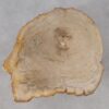 Salontafel versteend hout 53310