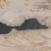 Salontafel versteend hout 53312