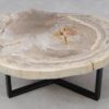 Salontafel versteend hout 53331