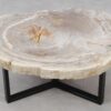 Salontafel versteend hout 53332