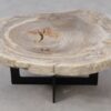 Salontafel versteend hout 53333