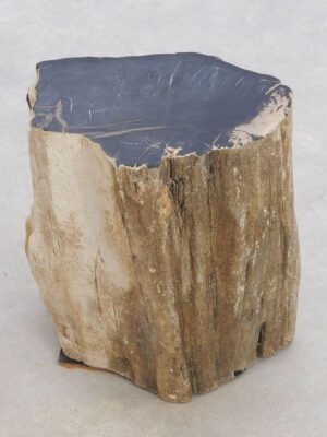 Side table petrified wood 48191