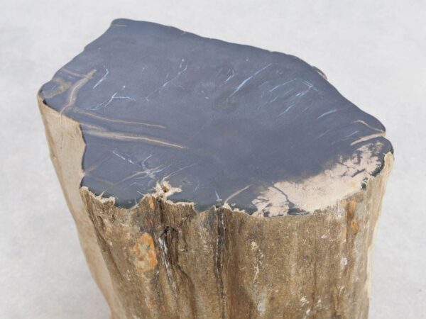 Side table petrified wood 48191