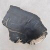 Side table petrified wood 48191
