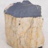 Side table petrified wood 48191
