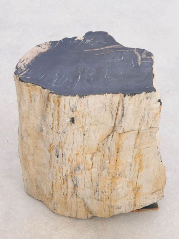 Side table petrified wood 48191