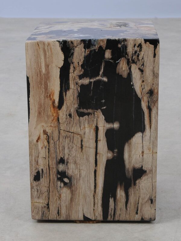 Side table petrified wood 52002